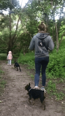 Family walks dogs through Kharkiv forest during afternoon outing
