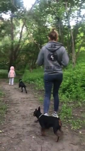Family walks dogs through Kharkiv forest during afternoon outing