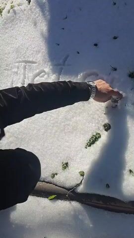 A person wearing a black jacket and sunglasses is crouched over a patch of snow. The person uses their finger to write the letter "D" in the snow, then erases it with their hand. The snow covers a mostly brown surface, with occasional green sprouts and bits of leaves poking through. Shadows from trees are visible across the snow. The person is also wearing a watch on their left wrist.