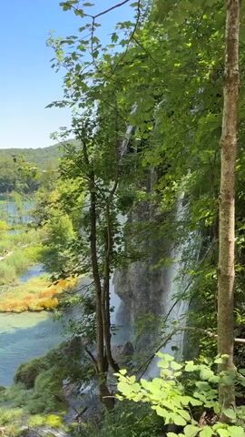 A vertical video captures a scenic view of a waterfall cascading down a rocky cliff face on the right side of the frame. Lush green foliage, including trees and leaves, dominates the foreground and surrounds the waterfall. To the left of the waterfall, a clear turquoise lake is visible, with shallow areas revealing the lakebed. A pathway with people can be seen winding along the edge of the lake, and patches of yellow-brown vegetation dot the water. In the distance, a forested hillside rises under a clear blue sky. The sunlight creates dappled shadows on the water and the surrounding vegetation. The video appears to be shot from a slightly elevated perspective, looking down and across the landscape. There is no audio.