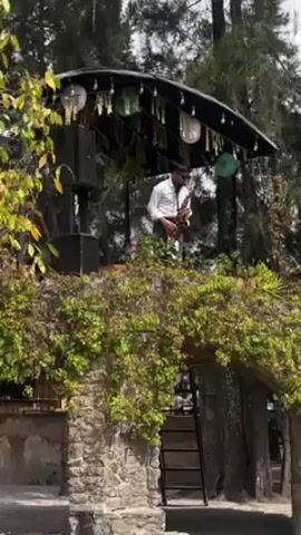 A man in a white collared shirt and sunglasses stands on a small elevated stage under a black awning and plays a saxophone. The stage is decorated with green paper lanterns and tassels and there are trees visible in the background. The stage is reached via a black metal ladder that leads down to an stone arch covered with vines and foliage. A speaker is visible behind the man on the stage.