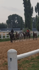 Mixed recreational activities observed in Nigerian community setting