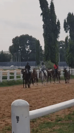 Mixed recreational activities observed in Nigerian community setting