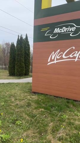 The video shows an outdoor scene on a cloudy day. The camera pans from a grassy area with dandelions to a gray brick sidewalk. There are several tall, green evergreen trees in the background. The edge of a brown sign is visible on the right side of the frame. The environment appears to be a park or commercial area with landscaping.