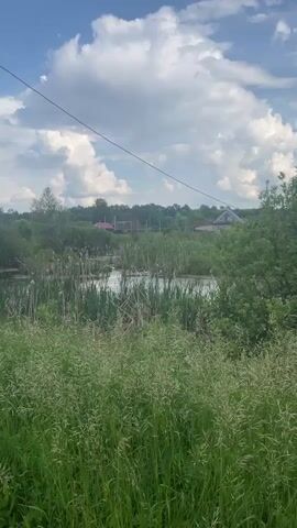 The video shows a calm outdoor scene with a body of water surrounded by lush green vegetation. The water is partially obscured by reeds and tall grass. In the background, several houses are visible amongst trees. The sky above is partly cloudy, with large white clouds against a blue background. A thin wire stretches diagonally across the upper portion of the frame. The overall impression is one of a tranquil, rural environment.