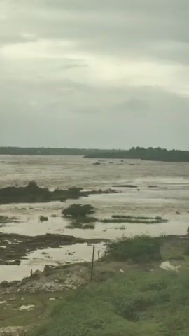 A wide shot shows a flooded river with murky brown water. Several islands of land are visible, some with vegetation. In the foreground, there are rocks and green grass. Three people are standing on one of the landmasses near the right side of the frame, and a fourth person is visible further left. The sky is overcast.