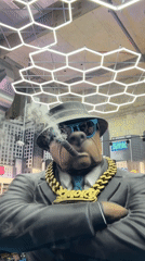 Dog mob boss sculpture spotted in Holon, Israel