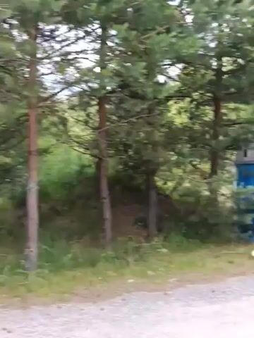 A brief video shows a portable toilet next to a blue wooden structure with a window. The area is surrounded by trees and grass. In a subsequent scene, the video pans across a dirt path leading to a white picket fence and a green archway. A few people are visible walking in the distance. The video then continues to show a woman and a young child standing in a grassy area with picnic shelters in the background. The woman is holding a phone and appears to be talking. The picnic shelters have blue roofs and white benches. There are flags displayed on poles. The environment is outdoors and appears to be a park or recreational area.