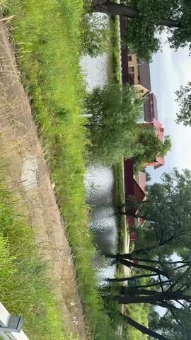 A video taken vertically, showing a body of water with trees on its banks. There are houses visible in the background, suggesting a suburban or rural setting. The water is calm and reflects the overcast sky. The vegetation is lush and green, with tall grass and trees providing shade. The lighting suggests it is daytime, possibly late afternoon or early morning, given the cloudy conditions. The camera appears to be stationary.