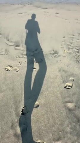 A person's shadow walks across a sandy beach towards the ocean. The shadow is long and distorted, stretching out before the person. The sand is wet and shows footprints. In the background, the ocean waves are visible.