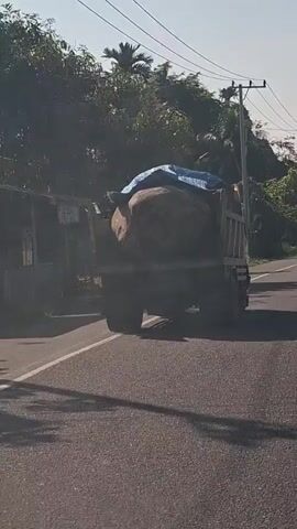 A truck is driving down a road. The truck bed is loaded with large round bales covered with a blue tarp. The truck is on the right side of the road. The road is paved and appears to be in a rural area with trees and vegetation on the side of the road. There are telephone poles in the background. The video is shot from a vehicle following the truck.