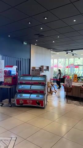The video pans across a food service area, likely a buffet or cafeteria. In the foreground, there are several refrigerated display cases. The first one is red and contains ice cream or frozen desserts. The second, stacked on top of the first, is glass-fronted and also displays frozen items. Further back, there is a salad bar with various chopped vegetables in rectangular containers. To the right of the salad bar, there is a large roasted ham on a wooden cutting board, with labels indicating it is "JAMBON A L'OS VPF" priced at 14,50€. To the left of the ham, there is another item, possibly meat, in a clear container with a label "LASAGNES BOLOGNAISES" priced at 14,95€.

In the background, people are seated at tables, eating and interacting. The environment appears to be indoors with large windows offering a view of an outdoor area with trees and umbrellas. The ceiling is dark, and there are overhead lights. The flooring is tiled. The overall impression is a casual dining establishment offering a variety of food options.