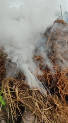 Straw pile smolders in Lhokseumawe, Indonesia