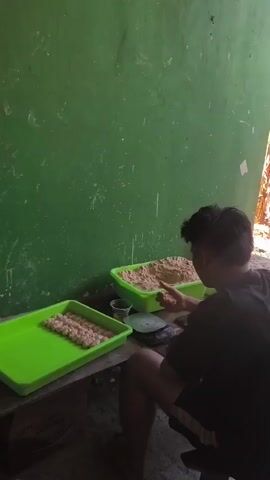 A person is sitting on a stool in front of a table. On the table are two green plastic trays. The tray on the left contains rows of small, light-colored food items. The tray on the right contains a larger quantity of a granular, sand-like substance. The person is reaching with their right hand towards the tray on the right, holding a small utensil or scoop. A small digital scale is positioned between the person and the two trays. The background is a green wall. The lighting suggests an outdoor or semi-enclosed space.