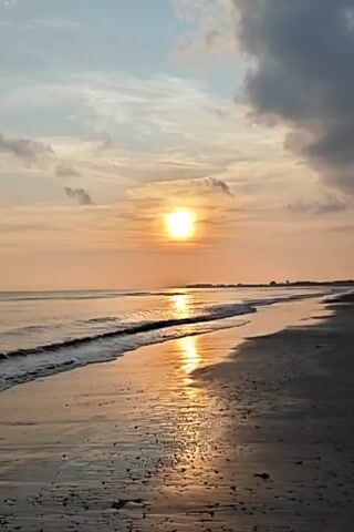 The video shows a beach at sunset. The sun is low in the sky, casting a golden glow over the water and sand. Small waves are gently rolling onto the shore. The beach is mostly empty, with just a few dark rocks and scattered shells visible. There is a hint of land in the distance, though no people can be seen in the shot. The sky is a mix of blue, orange, and grey, with some wispy clouds.