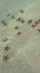 Early morning scenes captured at Starfish Bar, Phú Quốc