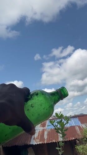 Person holds green bottle against sky in Ogbu, Nigeria