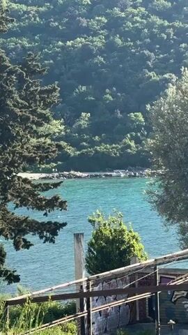 The video shows a scenic view of a turquoise body of water framed by green trees and foliage. In the background, a lush, forested hill slopes upwards. A small beach is visible across the water, with a couple of people standing on it. In the foreground, there's an old, slightly dilapidated structure with a rusty railing covered in graffiti. A small green bush stands in front of the structure, partially obscuring the view of the water. The lighting suggests it's a sunny day, with sunlight glinting off the water's surface.