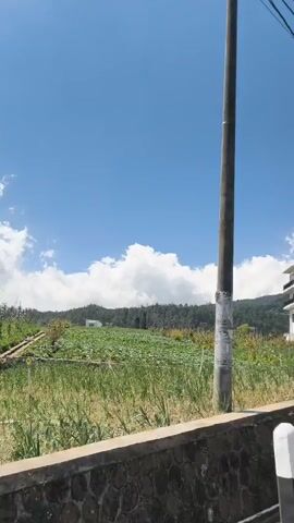 A street scene under a clear blue sky with scattered clouds. A power pole stands in the foreground. To the left of the pole, a field of green crops is visible, bordered by a stone wall. Behind the field, a multi-story white building with balconies is situated. Further in the background, a large mountain dominates the skyline. The road runs parallel to the field and wall, with a few small buildings and trees lining its edge. The scene suggests a rural or semi-rural environment.