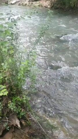 The video shows a flowing stream of water with vegetation along its banks. The water is clear and appears to be moving over rocks. The surrounding environment is natural and appears to be a forest or wooded area. The camera is held steady, capturing the movement of the water. There are no people or animals visible in the video. The lighting suggests it is daytime.