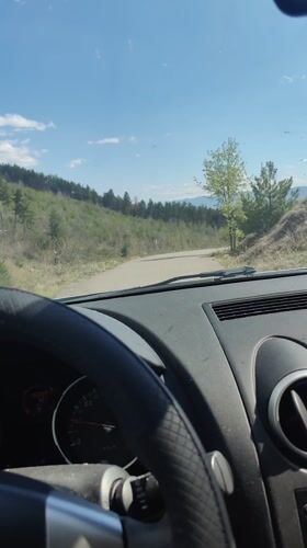 Motorist documents scenic drive through rural Lokorsko, Bulgaria countryside