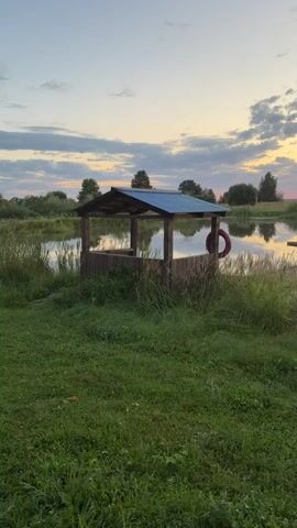 A vertical video captures a tranquil sunset over a body of water. In the foreground, lush green grass covers the ground. A small wooden structure with a blue roof stands near the water's edge, partially obscured by tall reeds and grass. A red ring, possibly a lifebuoy, is attached to the structure. A wooden pier extends from the right side of the frame onto the water. The water reflects the sky, which is ablaze with the colors of sunset, featuring hues of orange, pink, and yellow, with scattered clouds. Trees and fields are visible in the distance, silhouetted against the vibrant sky. The scene is peaceful and serene, evoking a sense of calm and natural beauty.