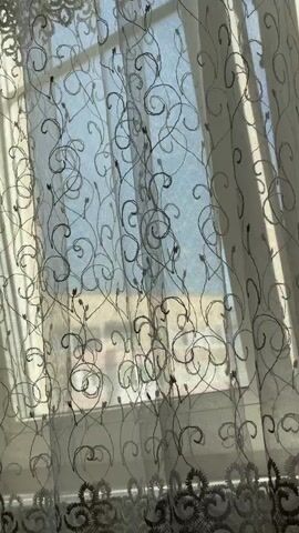 The video is a close-up shot of a sheer curtain with an embroidered pattern of swirling vines and small leaves. The curtain is hanging in front of a window, through which the sky and some buildings can be seen. The light is coming from the outside, casting shadows on the curtain. The camera is static. The audio consists of some faint background noise.