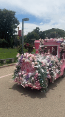 Touring Kunming's Stone Forest by pink train and floral archways