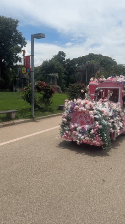 Touring Kunming's Stone Forest by pink train and floral archways