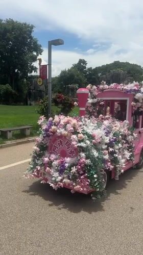 Touring Kunming's Stone Forest by pink train and floral archways