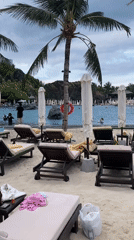 Beach resort pool area observed with swimmers, chairs