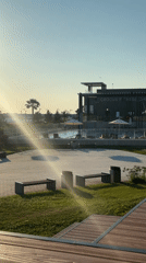 Sunny afternoon at Sirius beach: fitness, play, and water activity