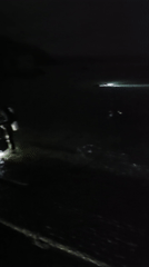 Night scuba diving expedition documented in Ensenada waters