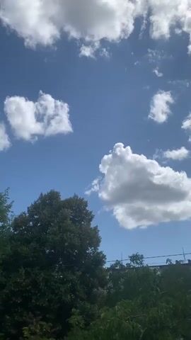 This is a vertical, low-angle shot of a blue sky with scattered white clouds. In the lower third of the frame, there are lush green trees. On the right side of the frame, a thin horizontal line, possibly a rooftop or fence, is visible above the trees. The lighting suggests a daytime scene, likely sunny. There are no people or specific actions depicted. The environment appears to be outdoors, with foliage and a clear sky.