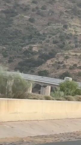 The video shows a highway overpass in a hilly, vegetated area. The overpass is supported by large concrete pillars and has multiple lanes of traffic. Several trucks are visible on the overpass, moving in the same direction. The foreground shows a concrete barrier and guardrail, suggesting the viewer is on a road adjacent to or below the overpass. The landscape is characterized by dry, green vegetation and hills. The lighting suggests it is daytime.