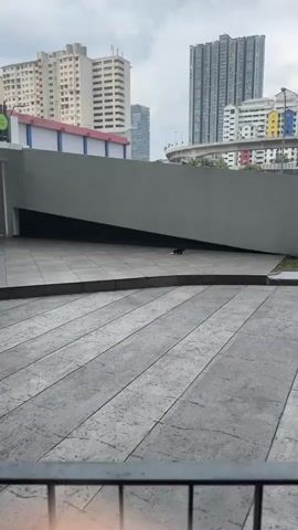 A black cat walks on a large, patterned concrete area in front of a sloped, gray wall. In the background, there are several tall buildings and a highway overpass. The sky is overcast. The cat is the only moving object visible.