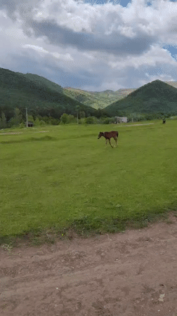 Horses graze near pixelated dinosaur sculpture in Armenian village