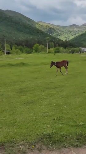 Horses graze near pixelated dinosaur sculpture in Armenian village