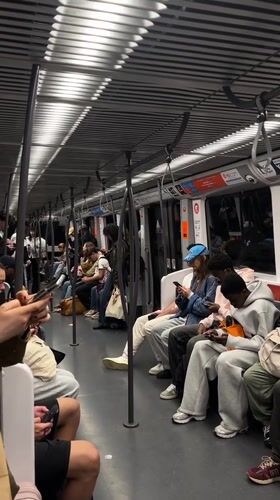 Lyon subway passengers use phones during afternoon commute