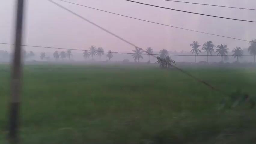 The video shows a blurry view of a green field with coconut trees in the distance. Power lines are visible across the top of the frame. A person, also blurry, is seen walking from left to right in the foreground. The sky is overcast and hazy.