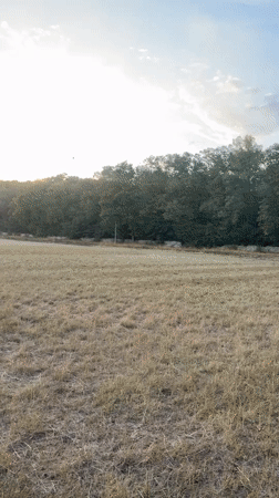 Summer sunset over a dry field in Le Mée-sur-Seine