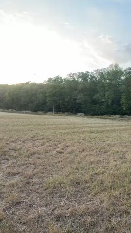 The video shows a wide shot of a dry, grassy field with a line of trees in the background. The sky above is bright and clear, with a few clouds visible. The camera pans slowly from left to right, revealing a tall net structure in the distance, stretching across the horizon. The lighting suggests it is either early morning or late afternoon, with the sun low in the sky. There are no people or animals visible in the frame, and the scene is quiet and still.