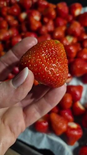 Heraldic crests and strawberries documented in Trier, Germany