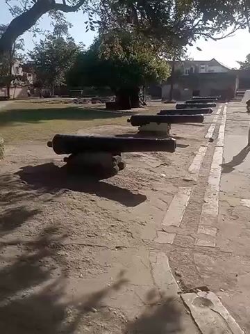 The video shows a row of cannons sitting on stone bases in a grassy field. In the background there is a building with steps leading up to it. The ground is partly dirt and partly concrete. The light is bright and sunny. There is a person walking in the far right of the frame. There are trees casting shadows on the scene.