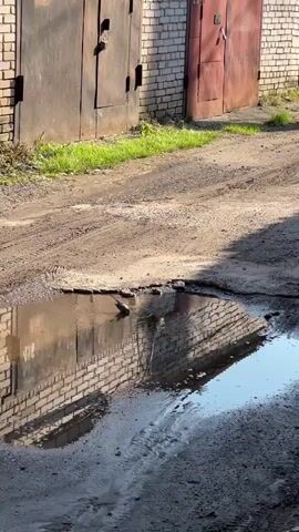 A duck is splashing in a puddle in front of two garage doors. The puddle reflects the brick wall of the garages. The ground around the puddle is dirt.