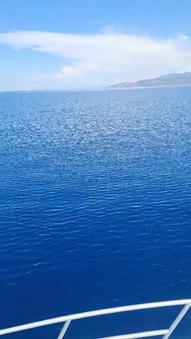 The video shows a bright, sunny daytime scene from the perspective of a moving boat, likely a ferry. The camera is positioned on the bow or a forward deck, with white metal railings visible in the foreground. The deep blue sea stretches out ahead, with gentle ripples visible on its surface. In the distance, a long stretch of land with rolling hills or mountains is seen under a clear blue sky with a few scattered white clouds.

Initially, the view is from the side, looking out over the water towards the distant coastline. The camera then pans to the front, revealing a prominent white, railed platform or gangplank extending from the bow of the boat over the water. This platform appears to be designed for loading/unloading or accessing the water. As the camera continues to pan, it moves back to a side view, showing the boat's railing and the vast expanse of the sea with the land still visible on the horizon. The boat is clearly in motion, steadily cruising across the calm waters. No people are visible.