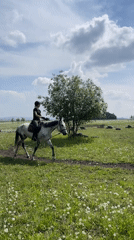 Morning horseback riders traverse Russian countryside fields and forests