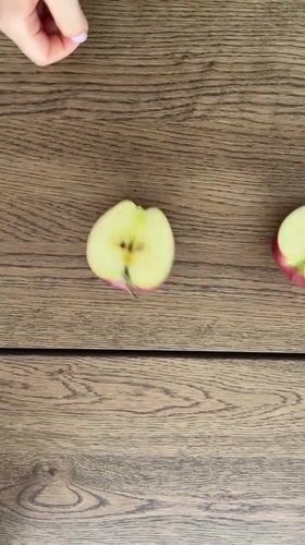 Morning apple sharing between owner and cat in Cyprus home