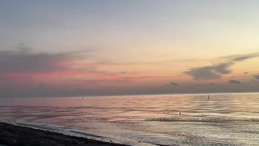 A wide shot of a beach and ocean at sunset. The sky is a gradient of pink, orange, and gray. The ocean is calm and reflects the colors of the sky. There are a few small waves lapping at the shore, which is made of dark sand and shells. There are no people or animals visible in the video.