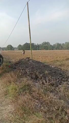 A young male wearing a black t-shirt and blue shorts is walking in a dry, tilled field. He is holding a long pole with a white net attached to it, suggesting he is engaged in some form of fishing or insect catching. The field is barren and dusty, with some dry vegetation in the foreground. A tall wooden pole stands to the right of the frame. In the background, there are trees and what appears to be a distant structure. The overall scene depicts a rural environment during the daytime.